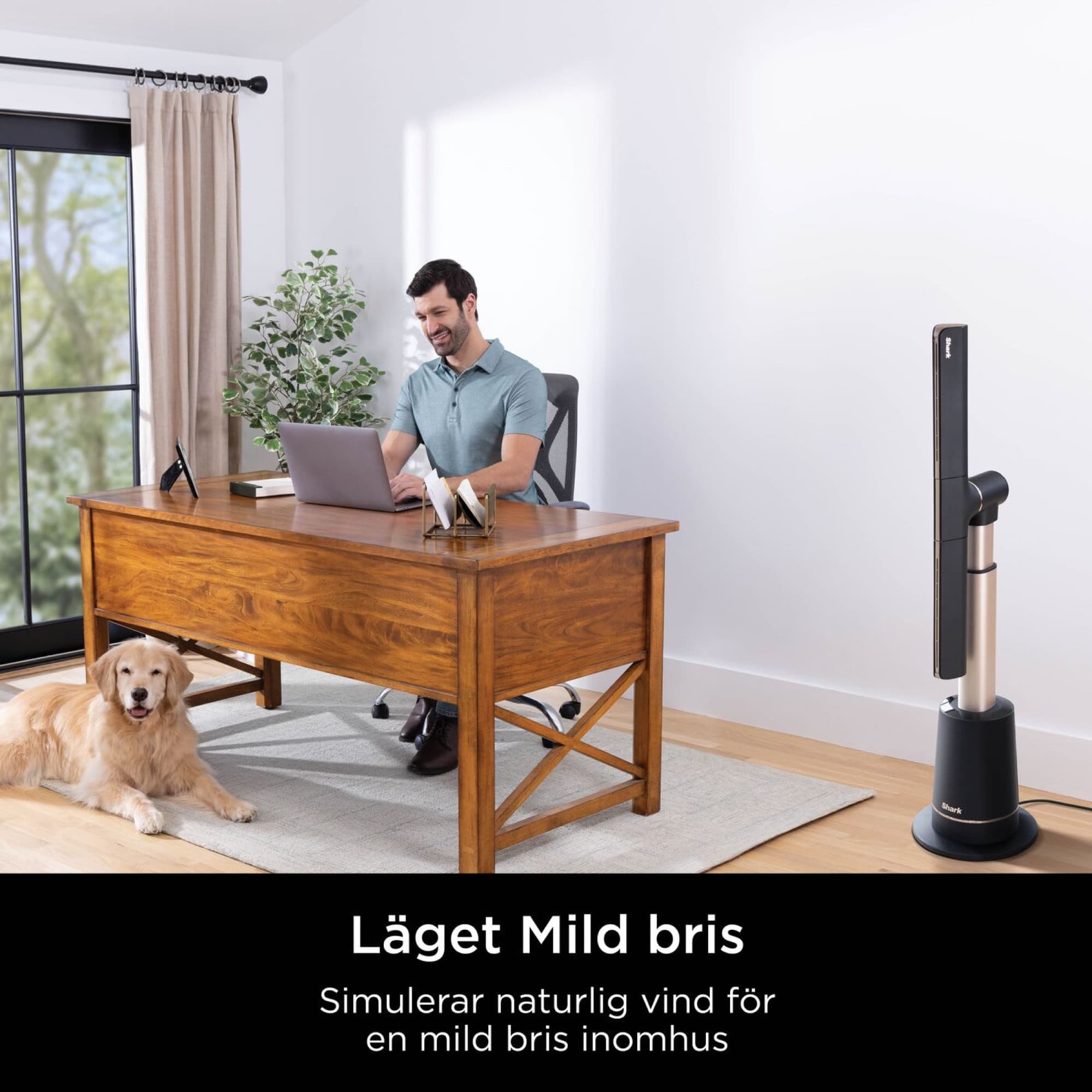 Läget Mild bris vid skrivbordet
