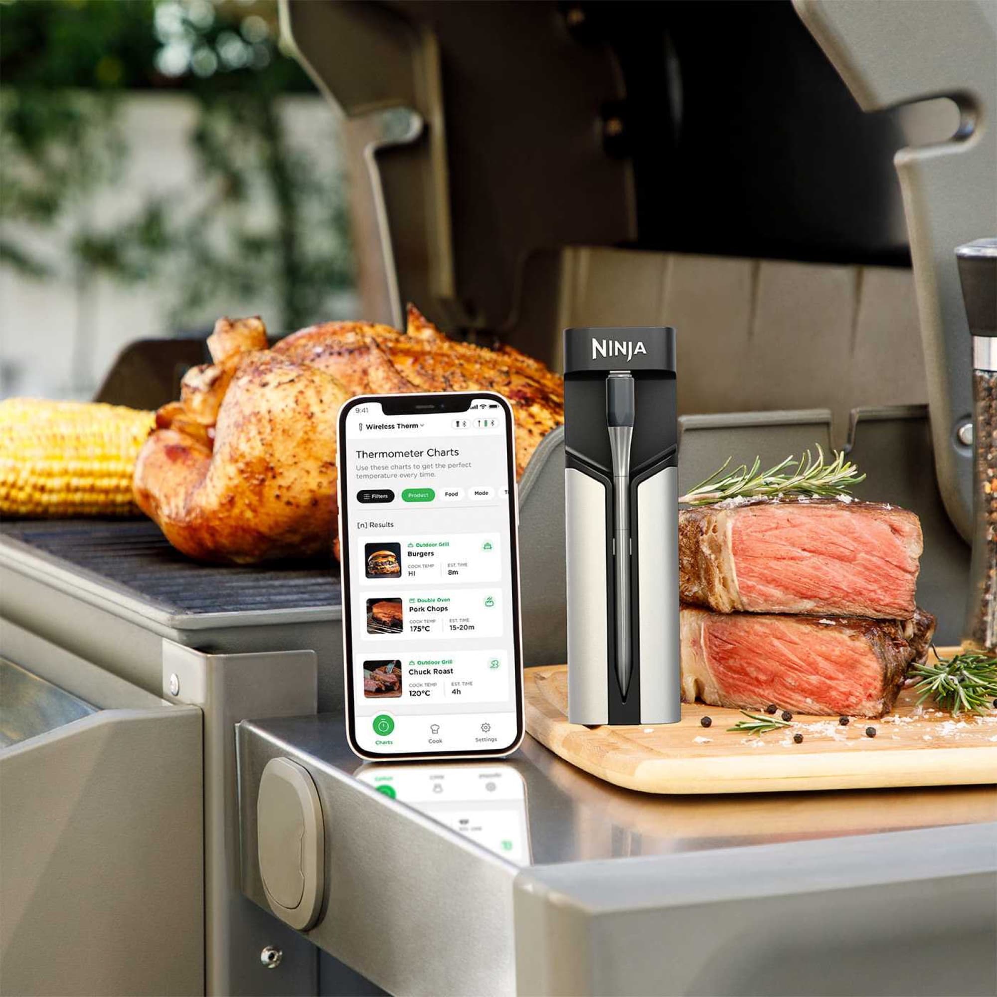 Kyckling och stek på grillen med termometern