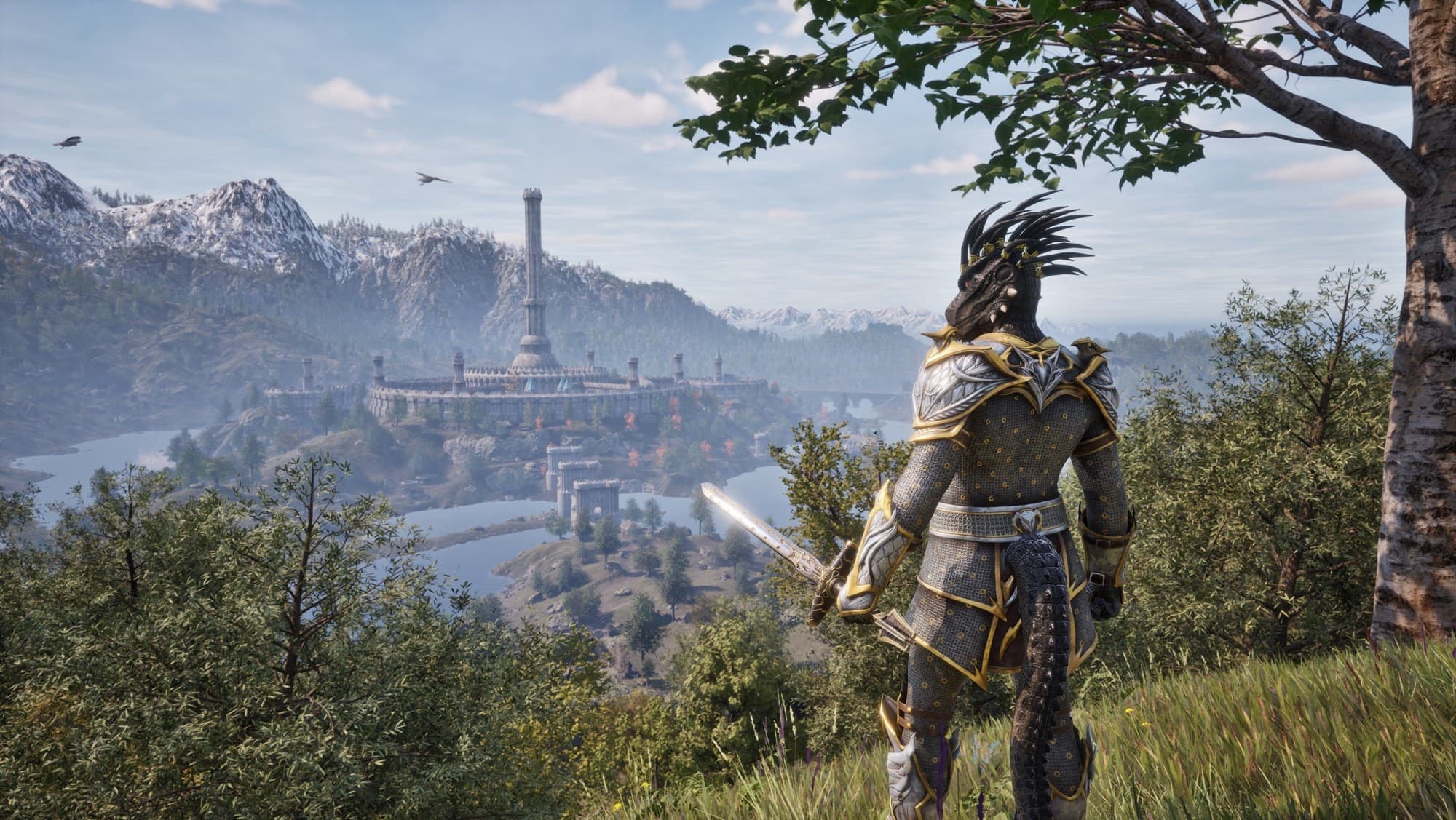 Bild från The Elder Scrolls IV: Oblivion Remastered