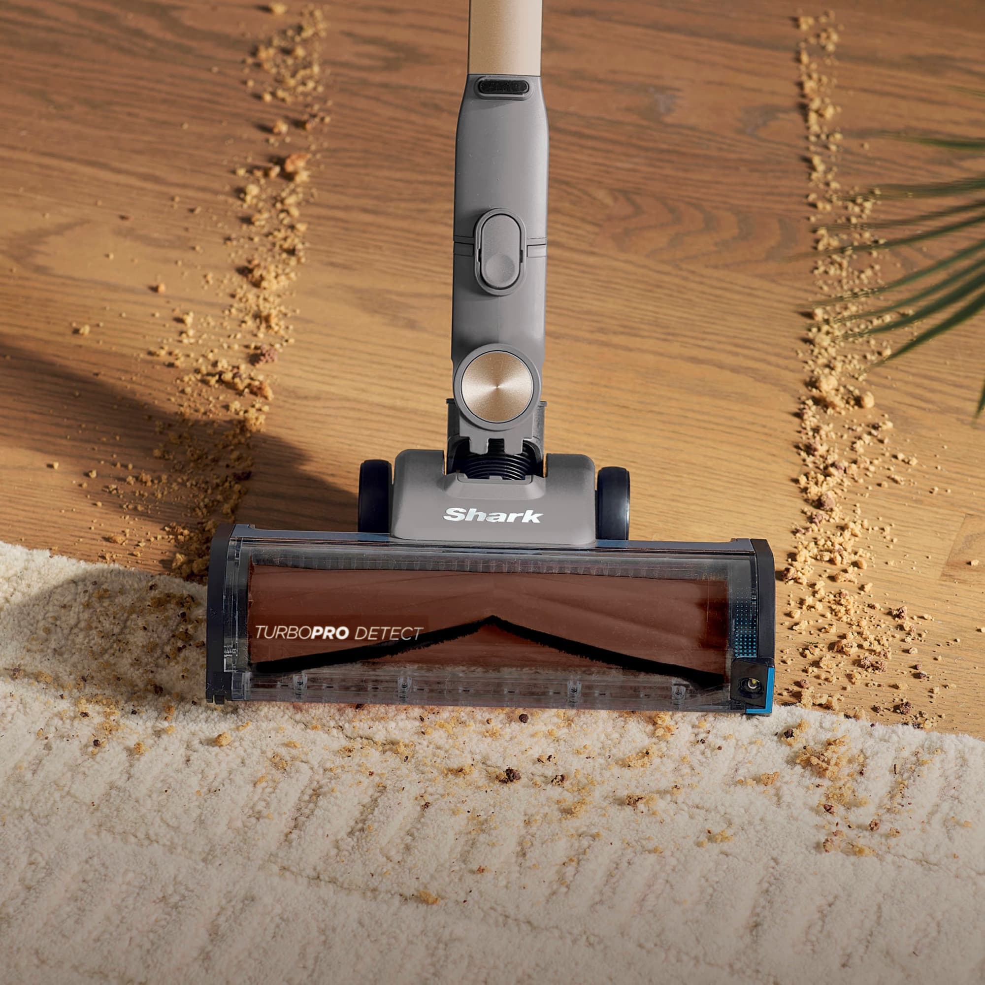 The floorhead on a thick rug and wooden floor