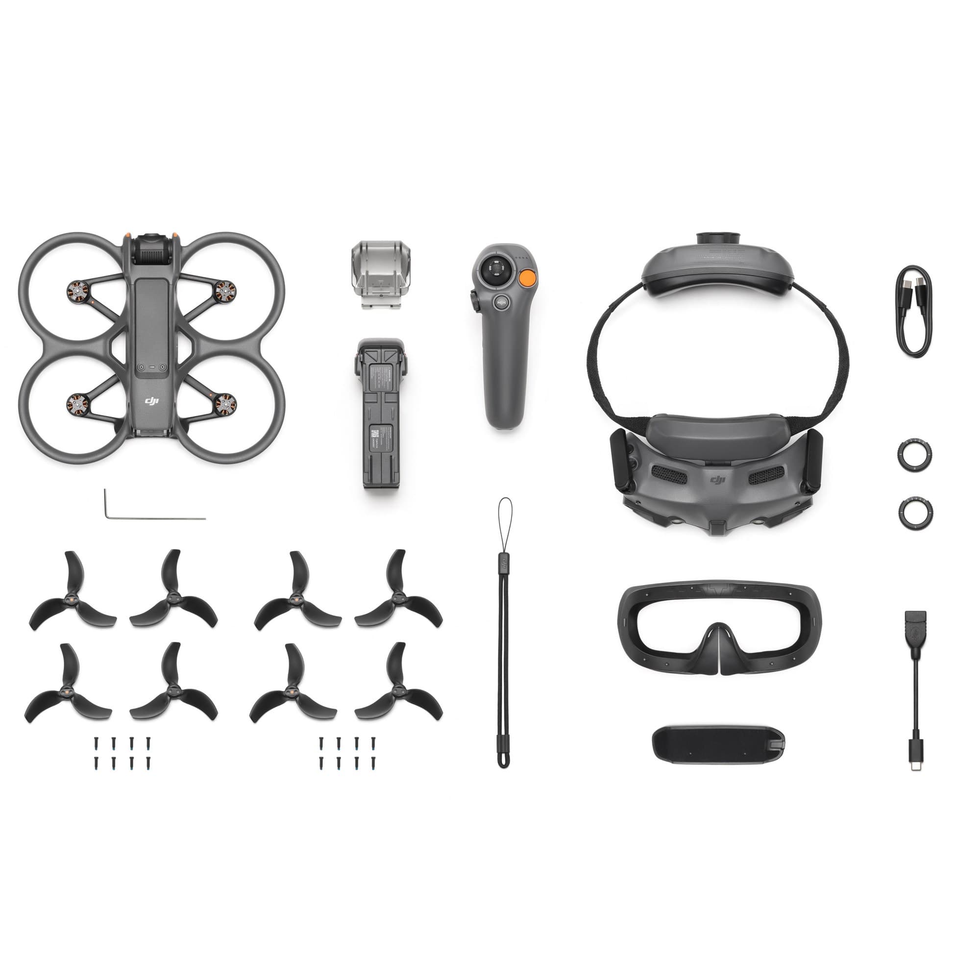 Fly More Combo med DJI Goggles 3 och RC Motion 3