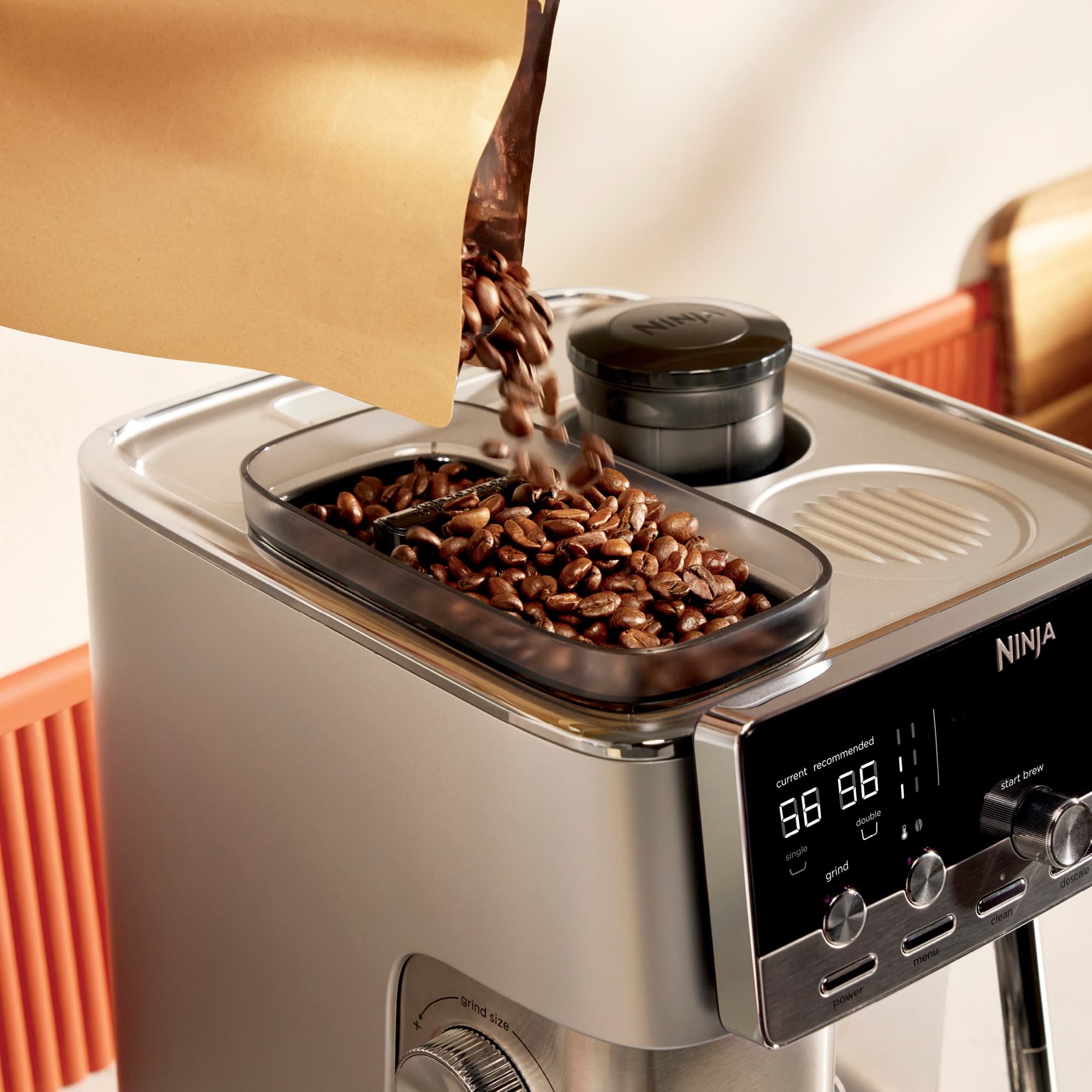 Kaffebönor hälls i bönbehållaren