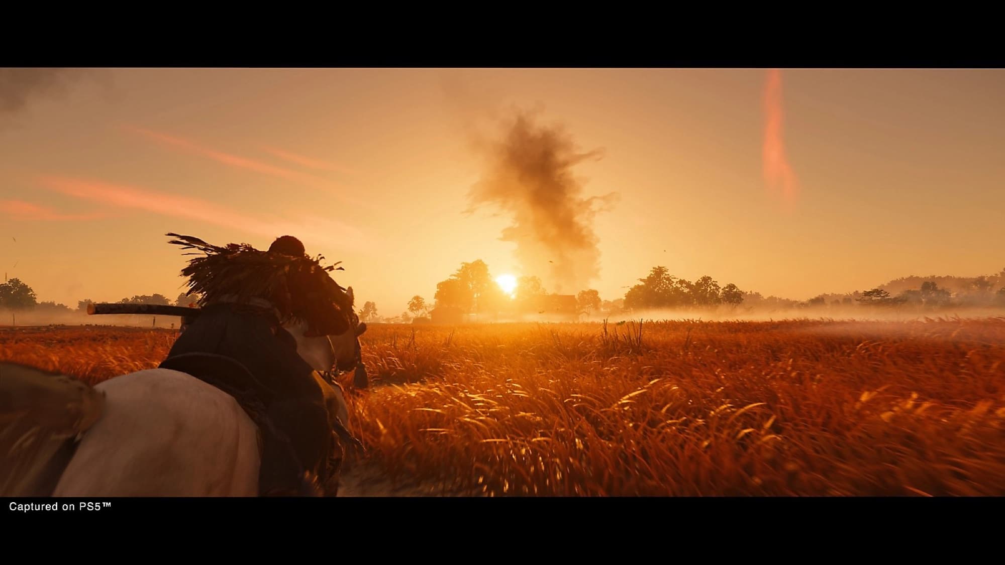Bild från Ghost of Tsushima Director's Cut