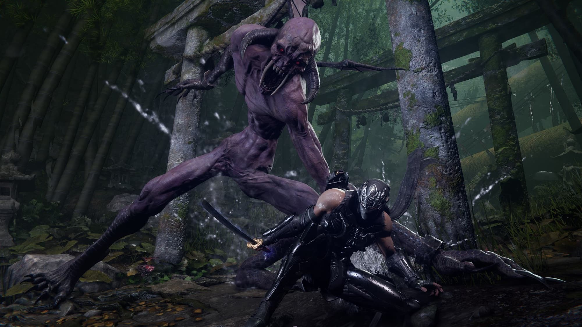 Bild från Ninja Gaiden 4 – Deluxe Edition