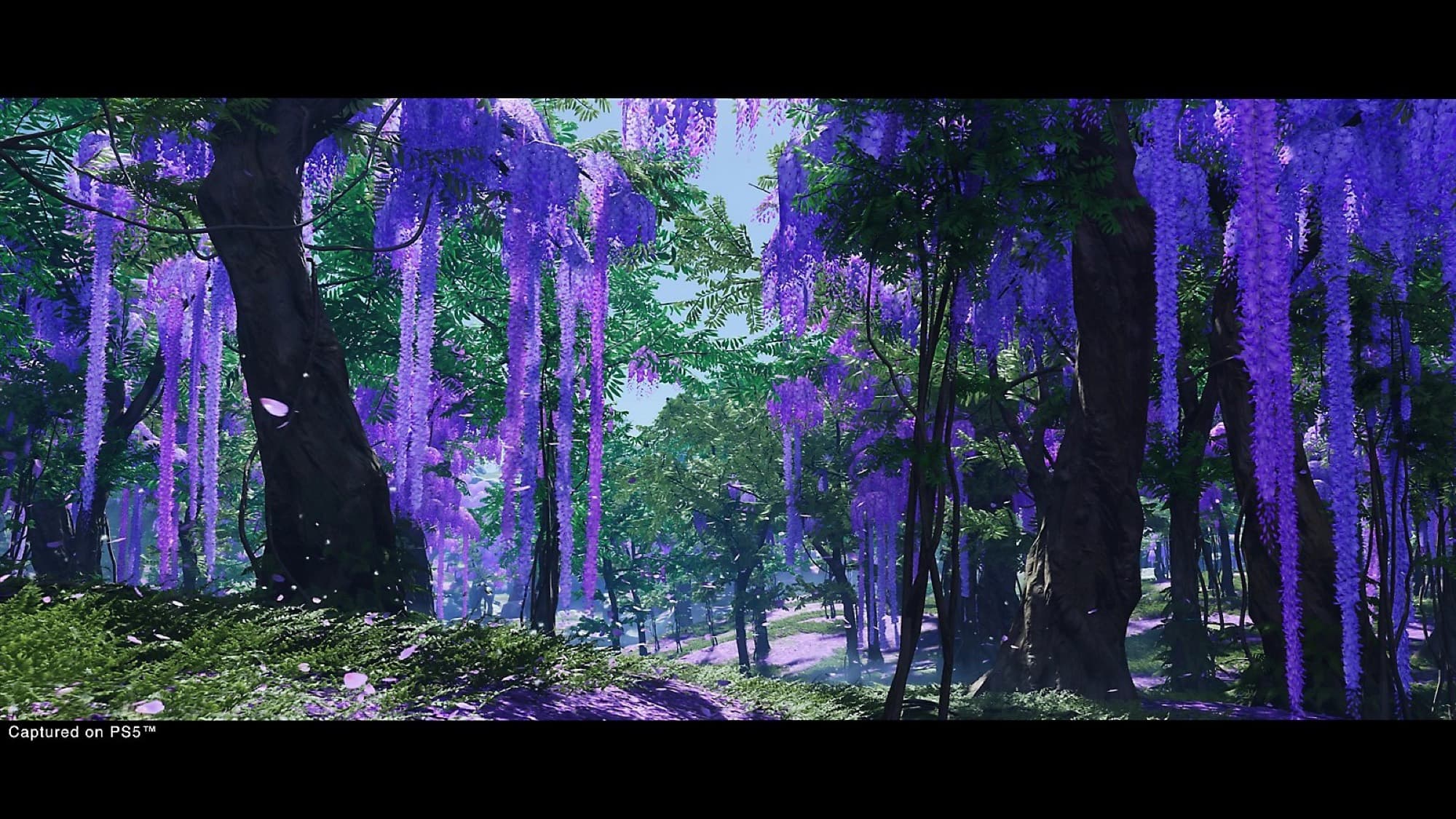 Bild från Ghost of Tsushima Director's Cut