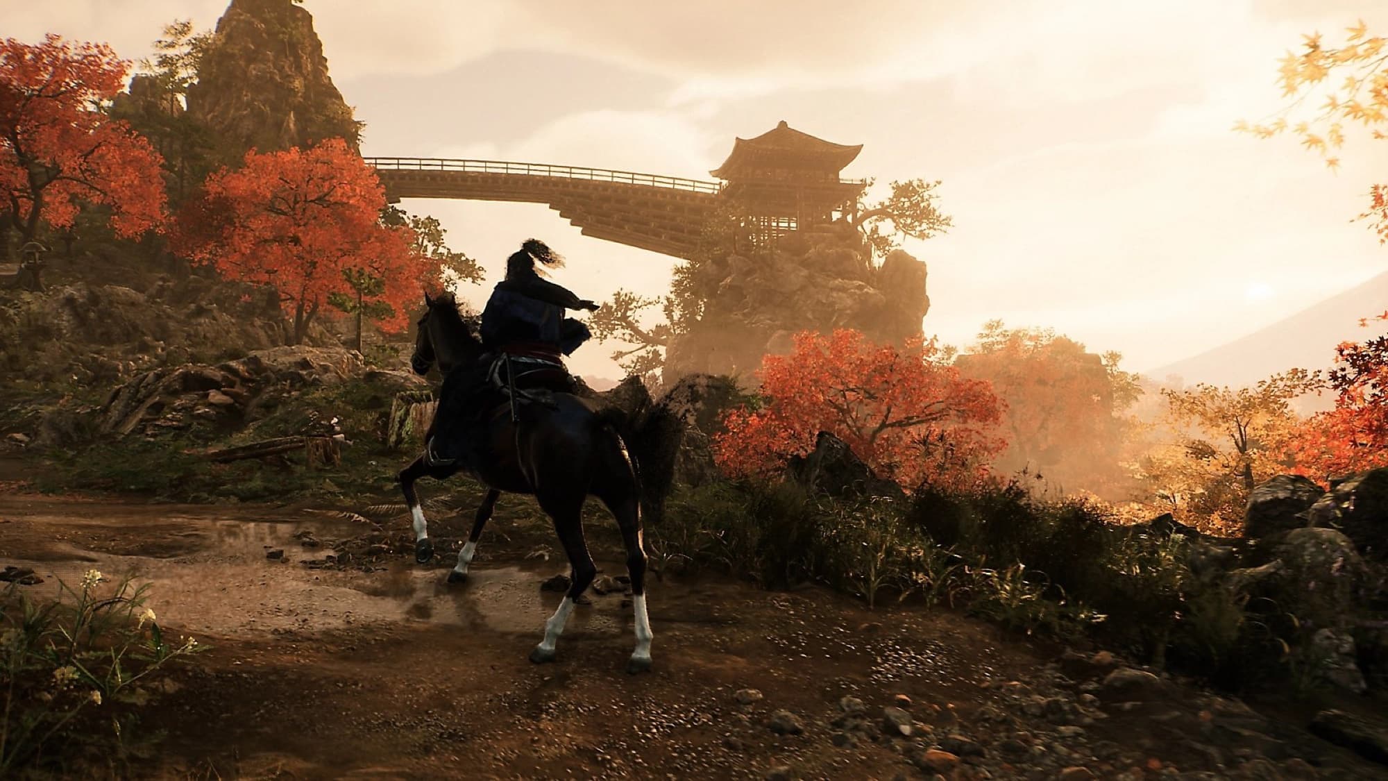 Bild från Rise of the Ronin