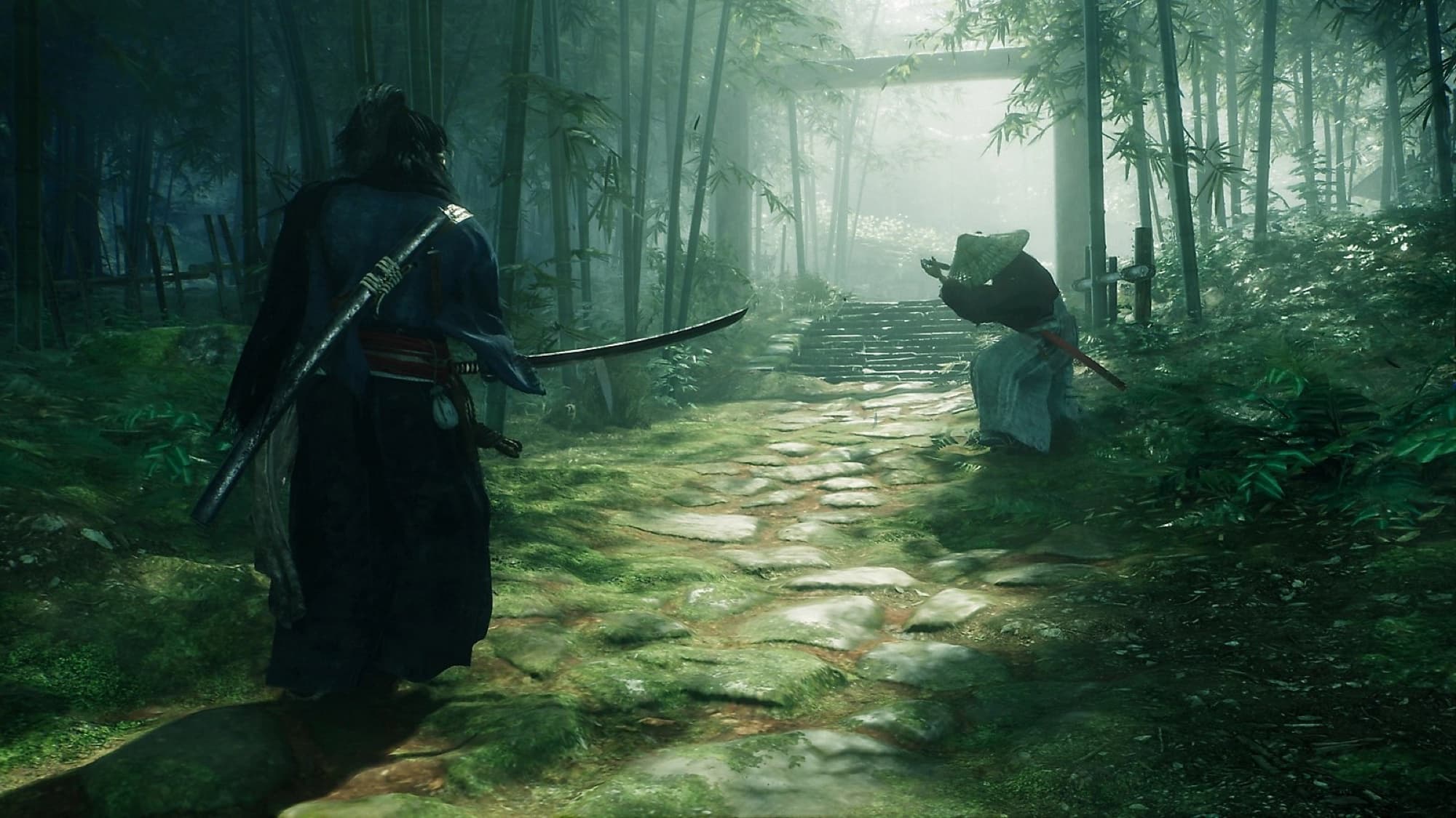 Bild från Rise of the Ronin