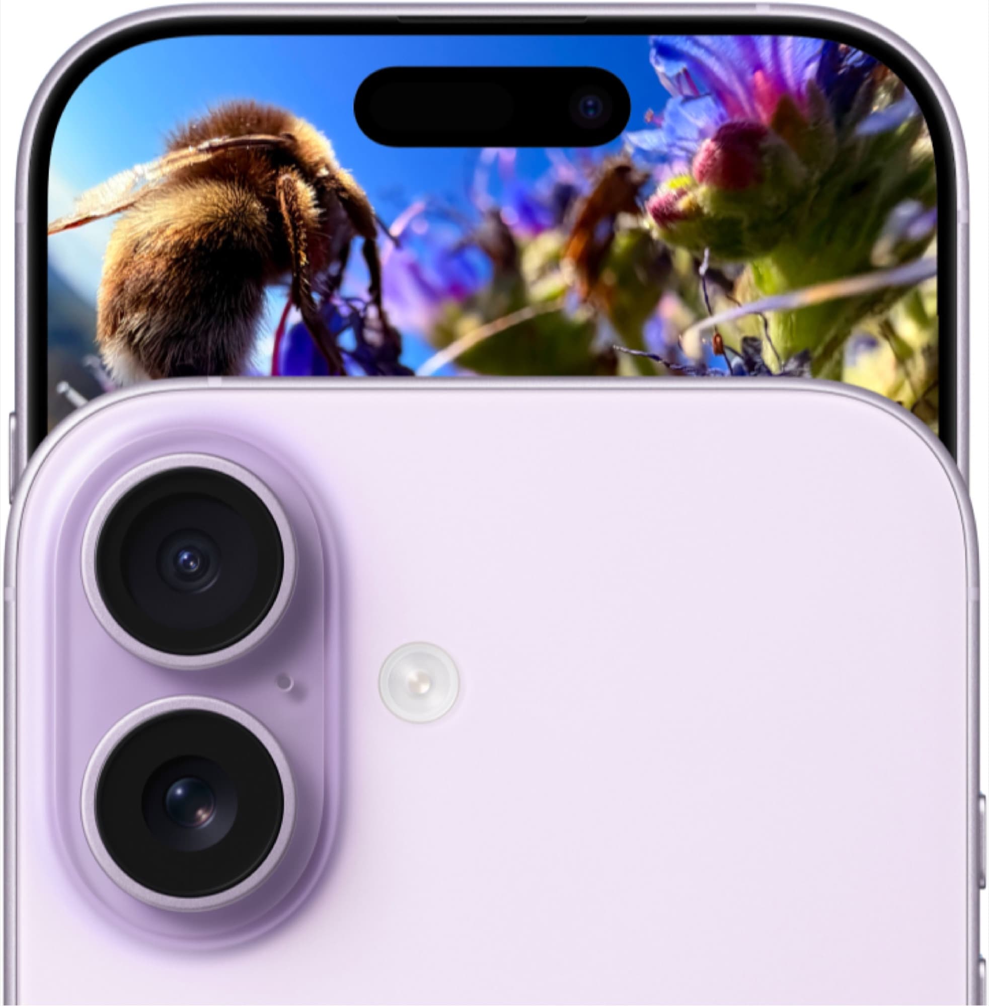 Display and cameras of iPhone 17 in lavender