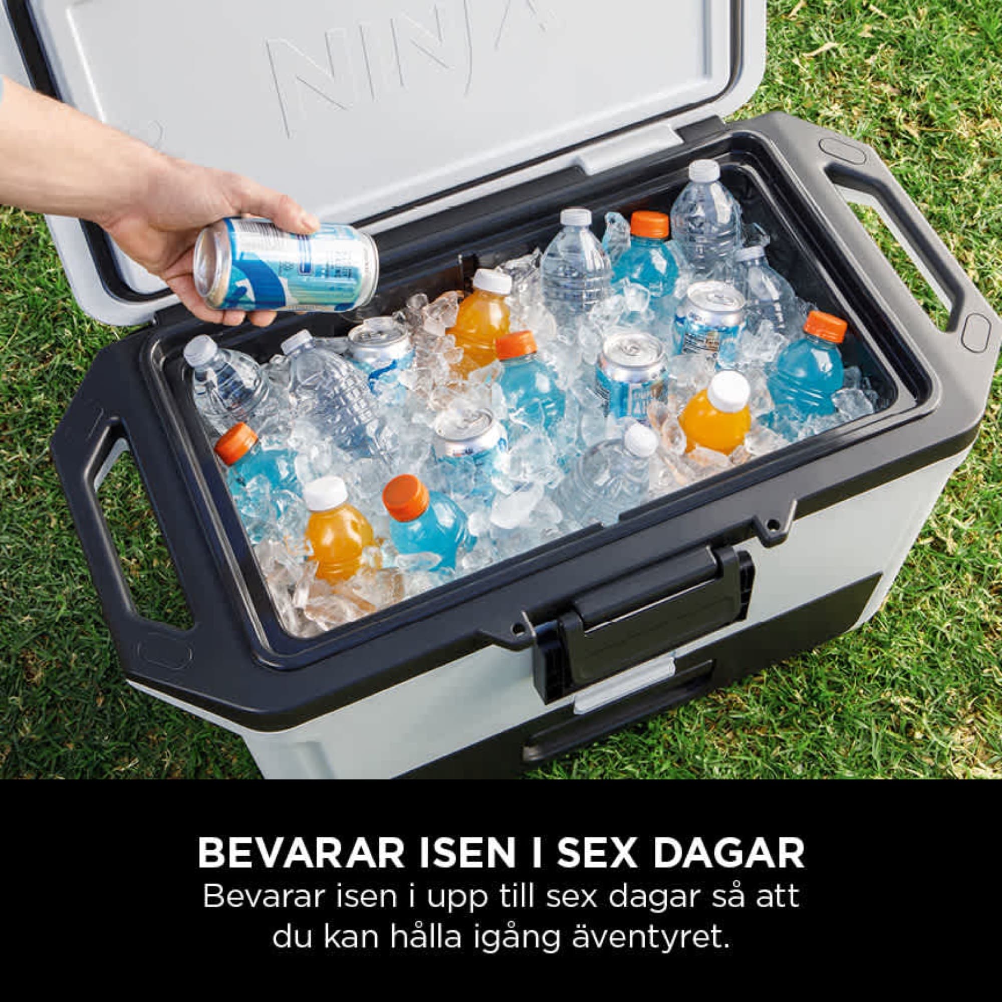 Kylboxen fylld med is och dryck