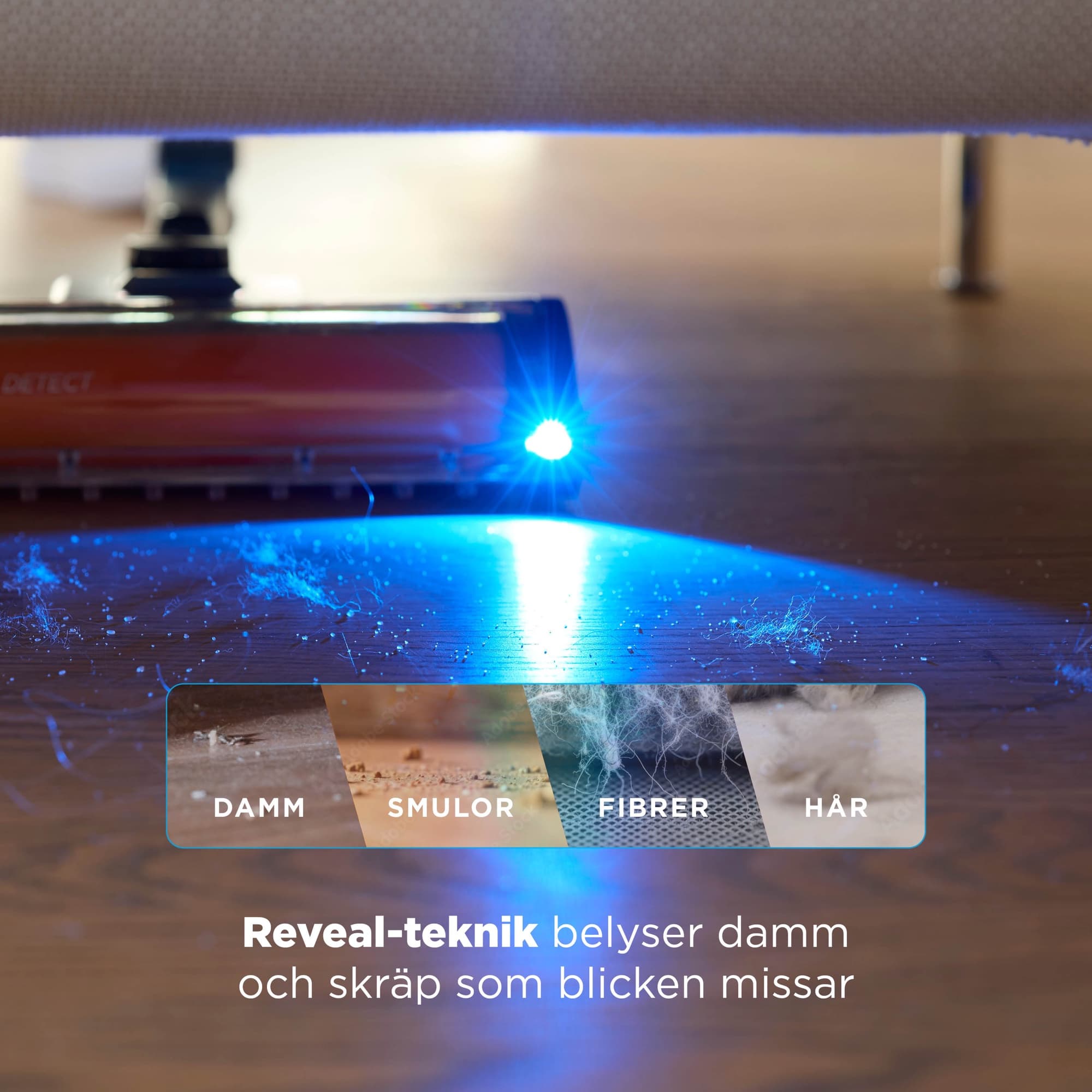 Reveal-ljuset lyser upp damm, smulor, fibrer och hår